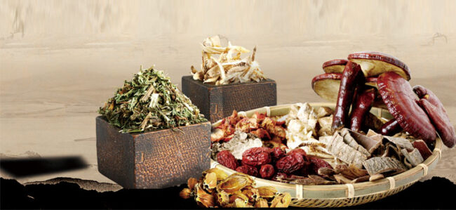 Conferenza: Il cibo come medicina - 12 dicembre, ore 10