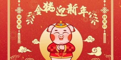 5金猪新年