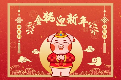 5金猪新年